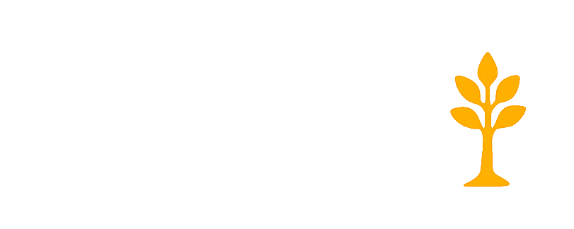 IPTV 3